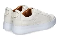 Camerlengo Sneaker CAIRO LATTE -Fashion Clothing Shop camerlengo sneaker Z16088 cairo latte 232300036 2